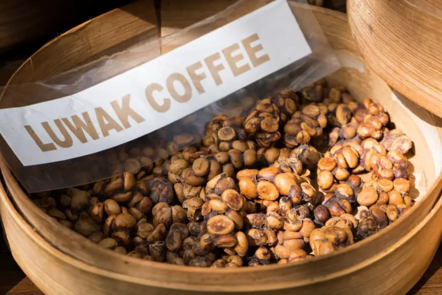 Kopi Luwak Coffee: The Process Behind the Trendy Brew