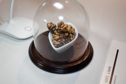 Discover the Richness of Premium Weasel-Processed Robusta Coffee