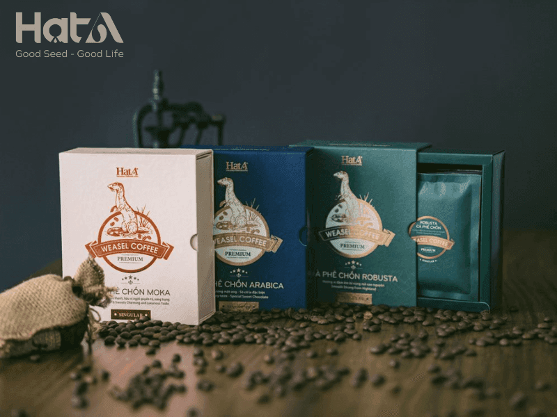 Discover the Rich Flavors of Premium Weasel Coffee with a Luxurious Honey-Chocolate Twist